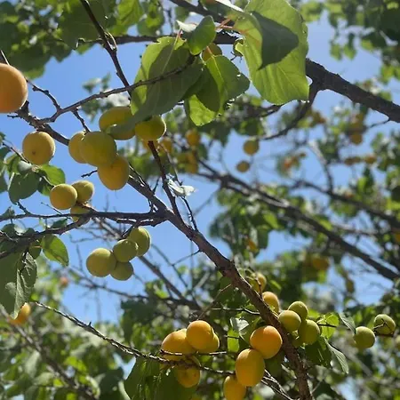 Aegean Endless Summer Pefkos Willa Pefki