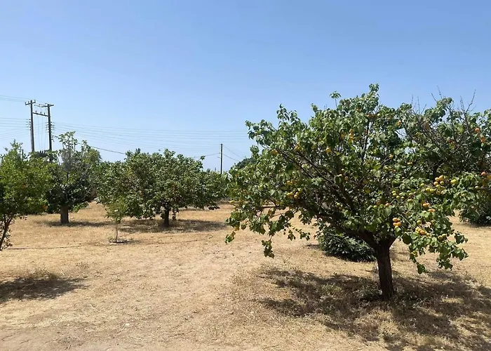 Aegean Endless Summer Pefkos