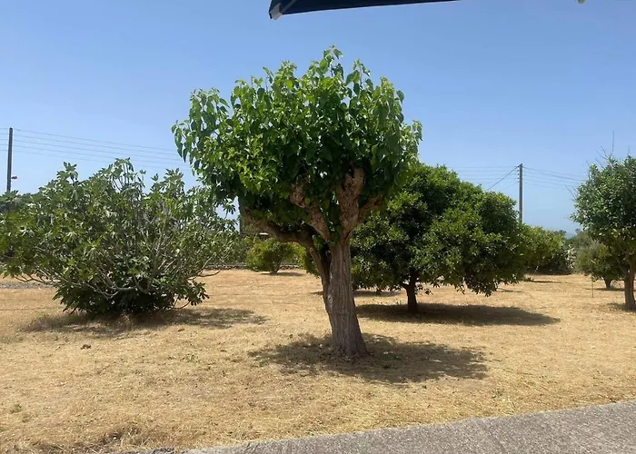 Aegean Endless Summer Pefkos Pefki