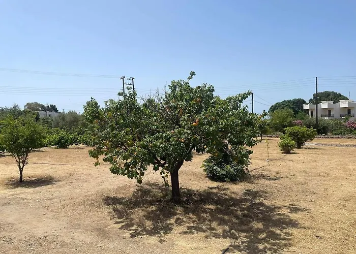 Aegean Endless Summer Pefkos 빌라 Pefki (Rhodes)