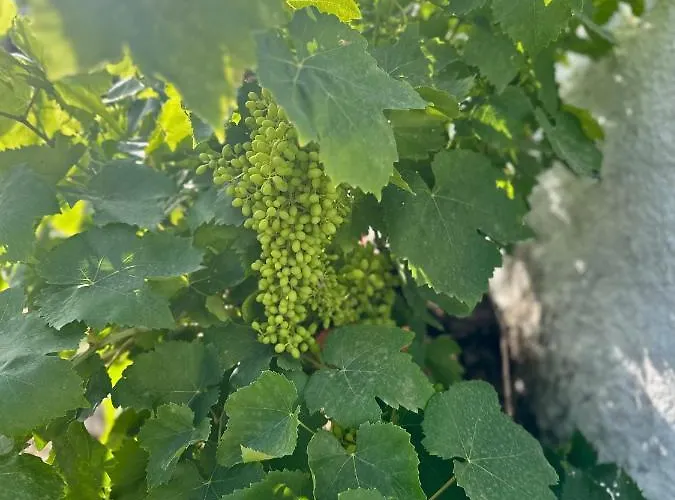 Aegean Endless Summer Pefkos 빌라 Pefki (Rhodes)