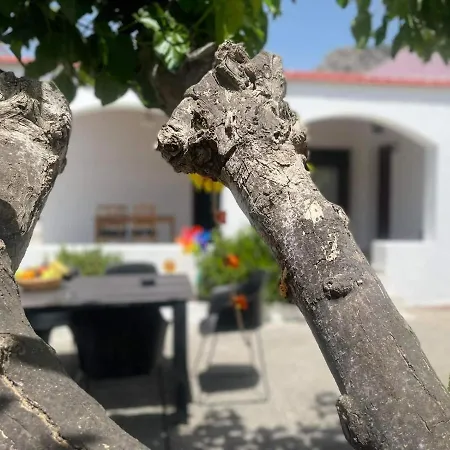 Aegean Endless Summer Pefkos