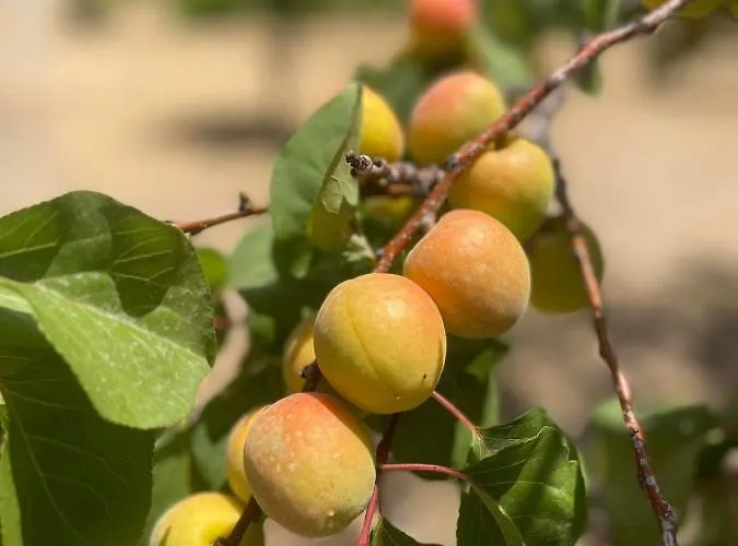 Villa Aegean Endless Summer Pefkos *