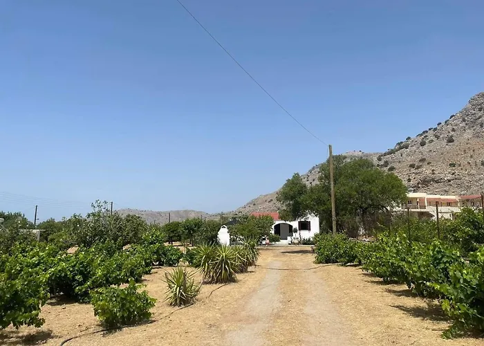 Aegean Endless Summer Pefkos *