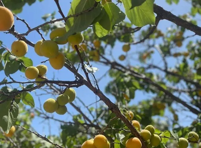 Aegean Endless Summer Pefkos Villa Pefki