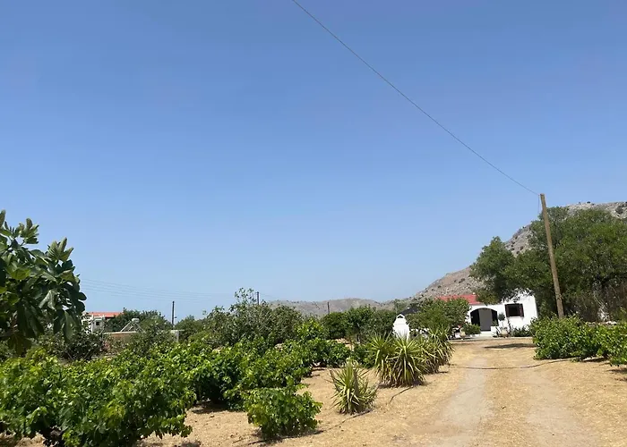 Aegean Endless Summer Pefkos * Pefki