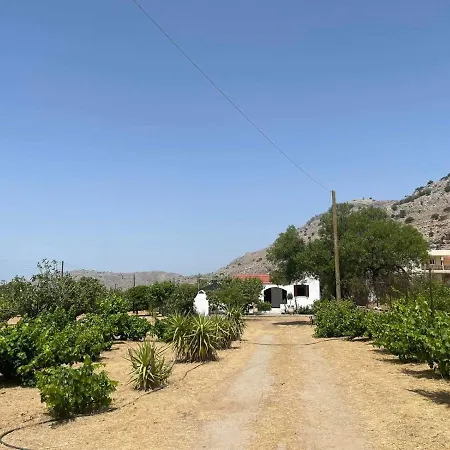 Aegean Endless Summer Pefkos *