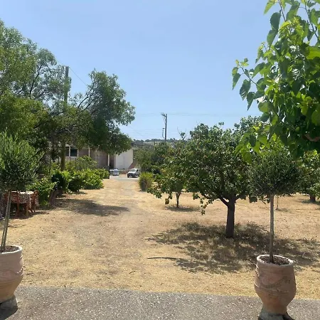 Aegean Endless Summer Pefkos