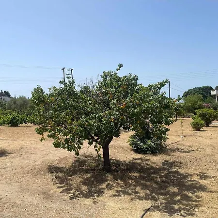 Aegean Endless Summer Pefkos Βίλα Πεύκος