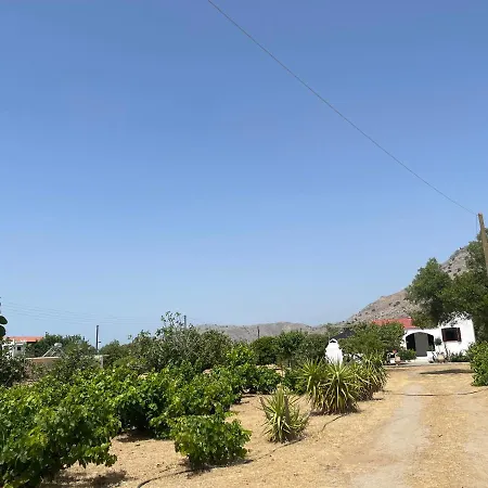 Aegean Endless Summer Pefkos * Πεύκος