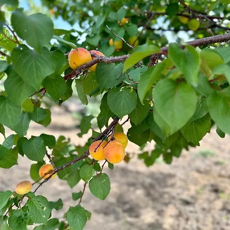 Βίλα Aegean Endless Summer Pefkos